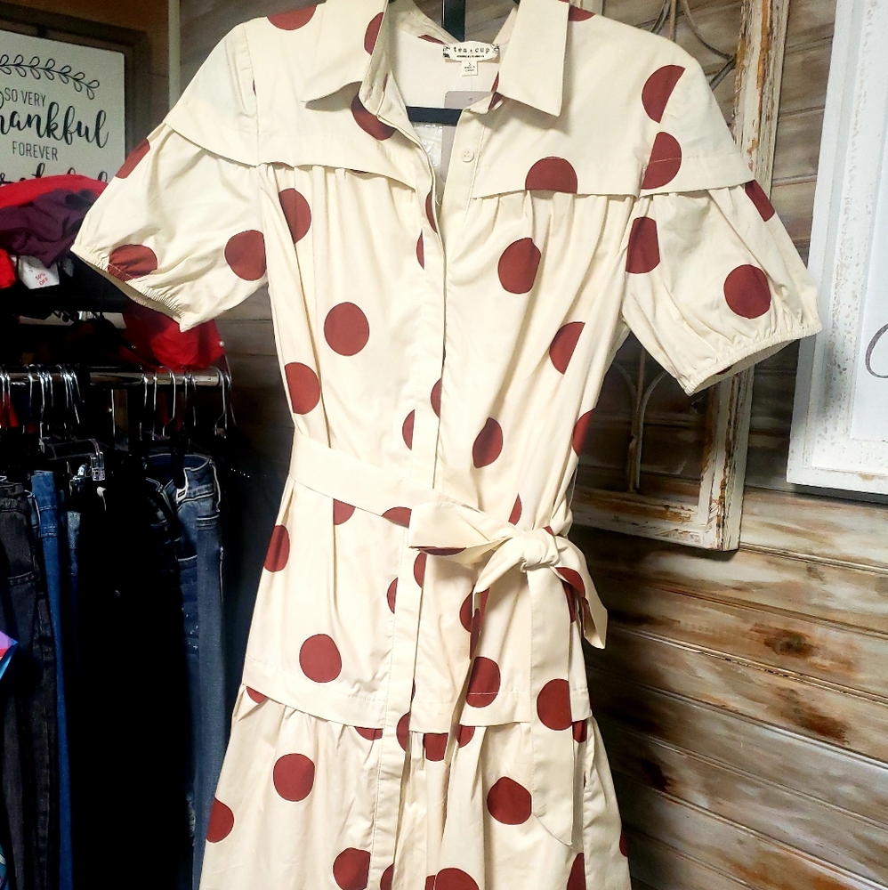 Polka Dot Shirt Dress